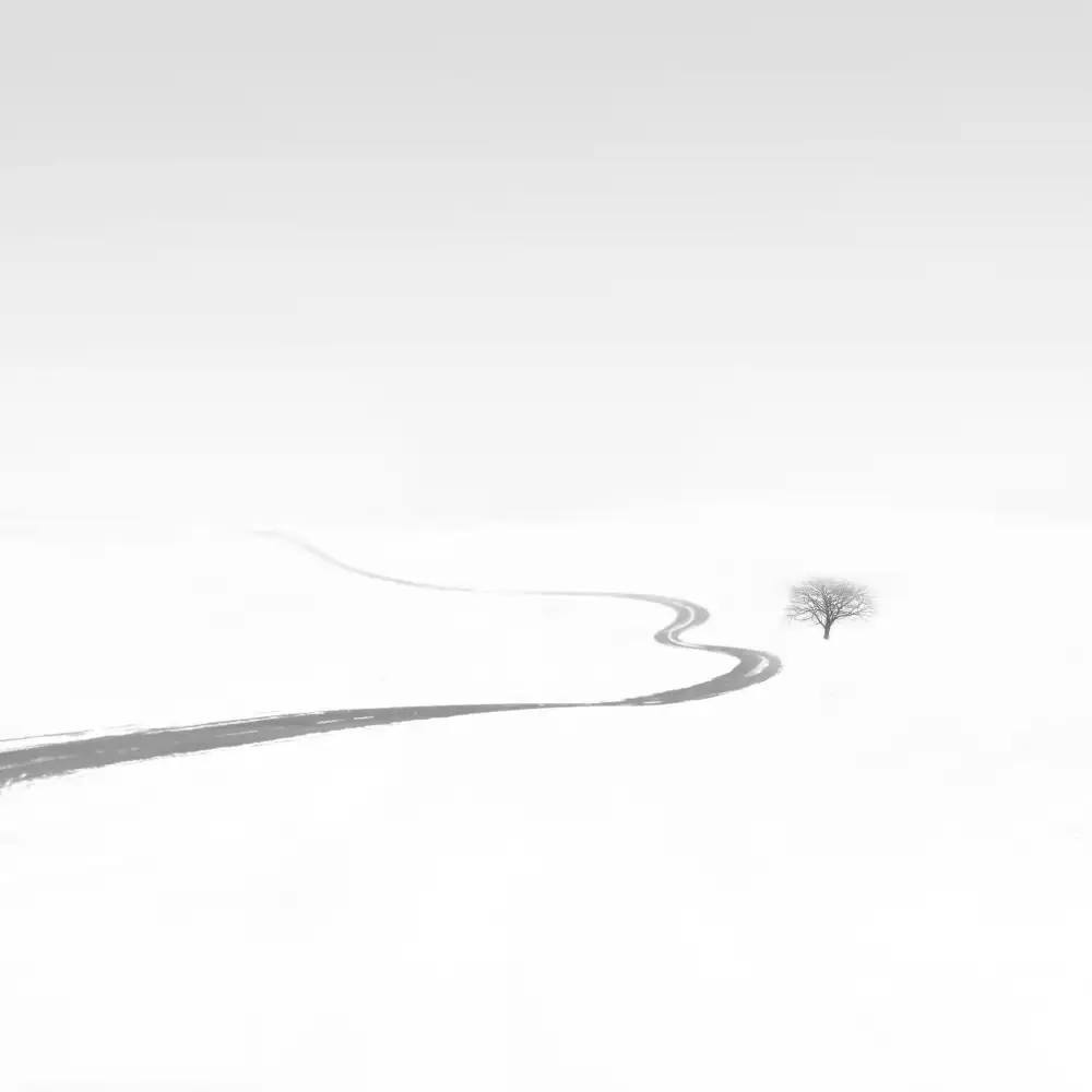 Nodeh, Mostafa: Albero singolo