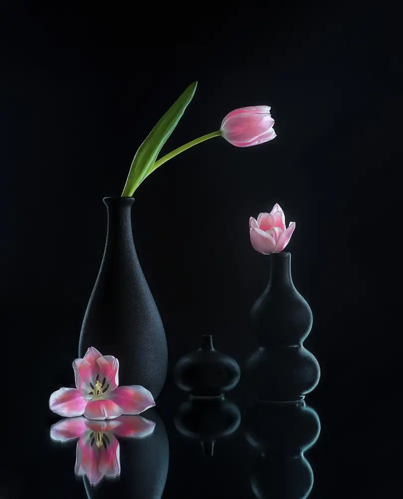 Sheng, Alice: still life 23