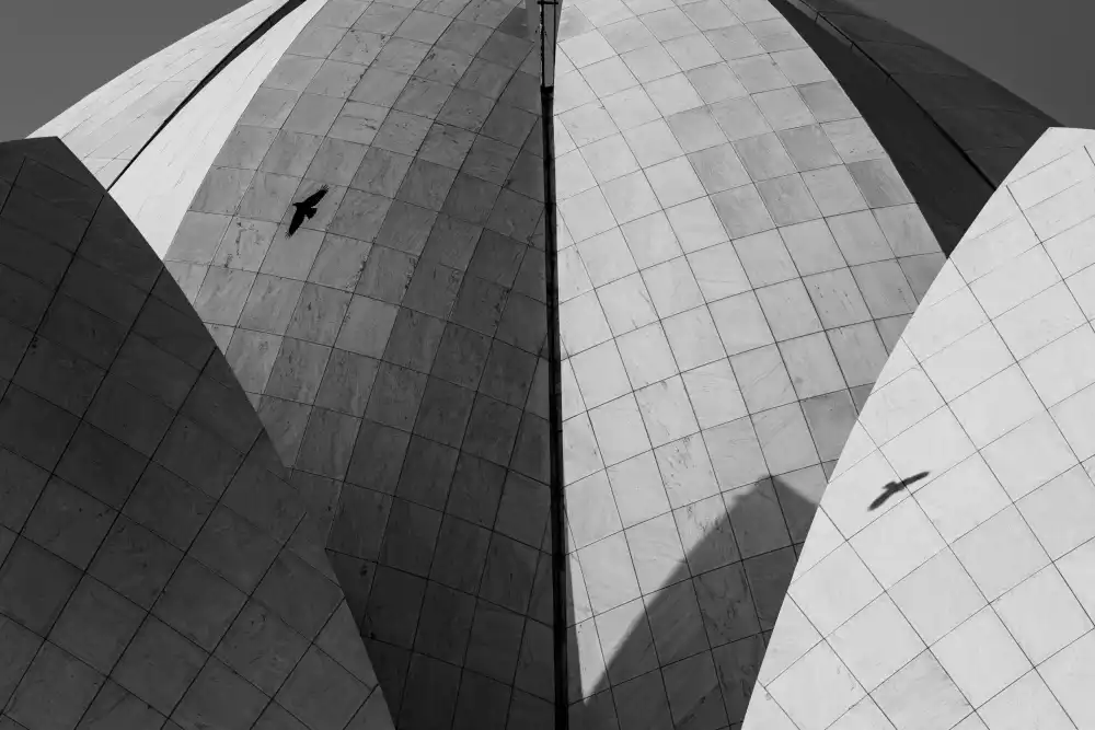 Chawla, Shobhit: Lotus temple   .. different strokes
