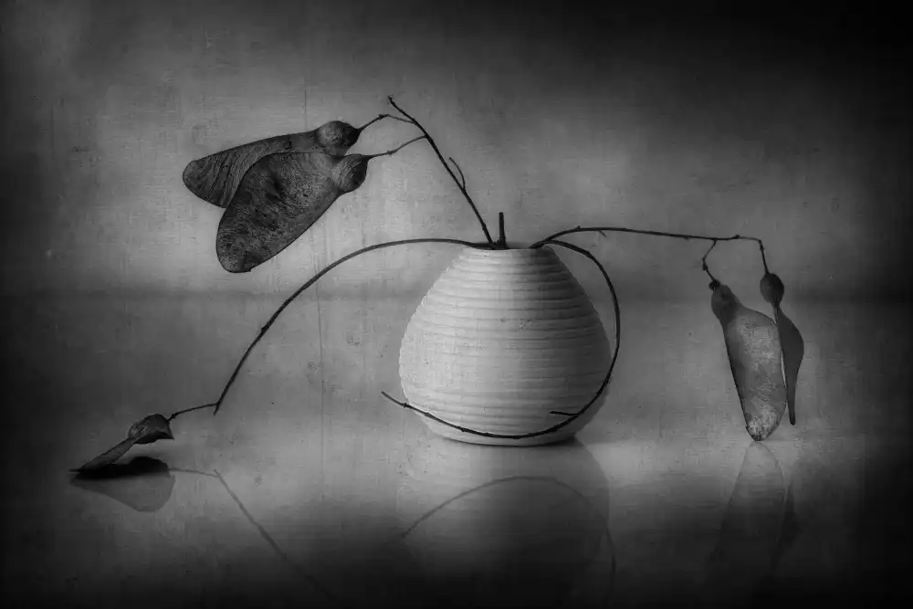 Arjona, Elena: W.ithered