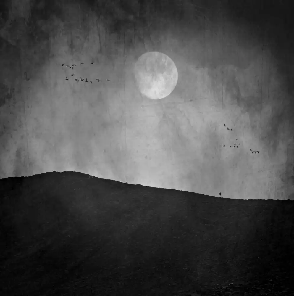 Fabrowski, Robert: Notte di luna