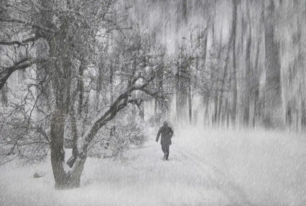 Basa, Emine: the winter