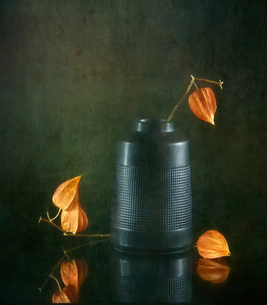 Catherine, W.: Chinese Lanterns