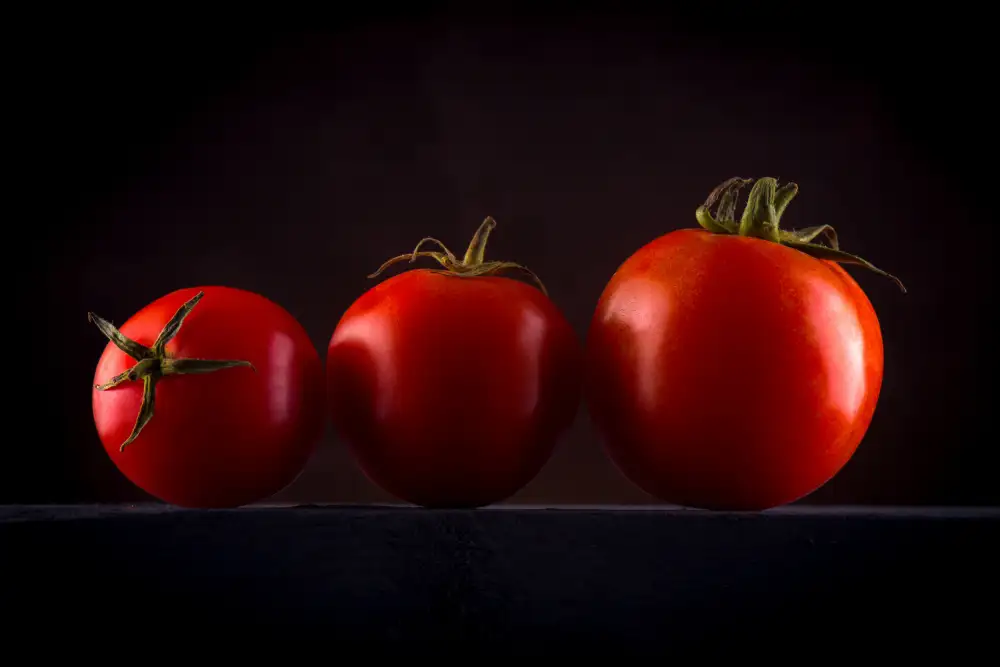 Dhuper, Sumit: Food Art