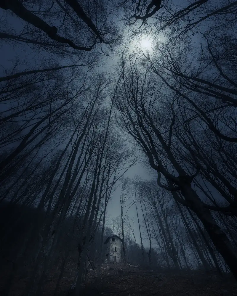 Manini, Filippo: Moon Watchtower