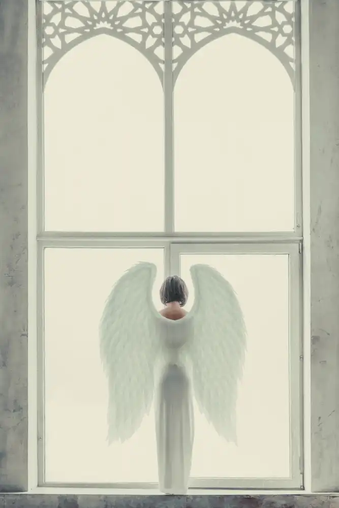 InTheMoment: Windows of Angel