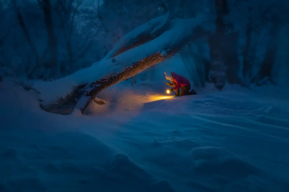 Wu, Irene: Treasure Hunt in The Snow