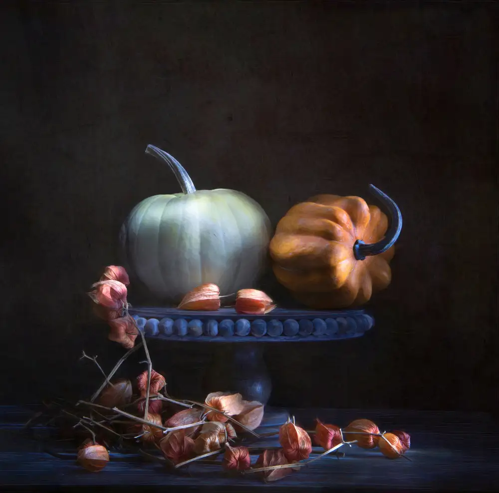 Catherine, W.: Pumpkin & Chinese Lanterns