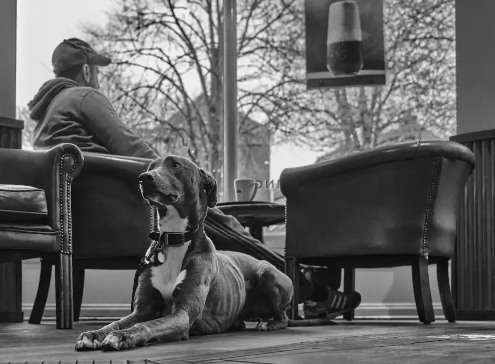 Majewski, Pawel: Coffee break