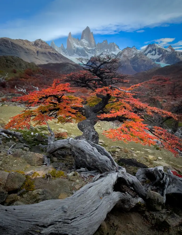 Li, Bing: L'automne à Fitz Roy
