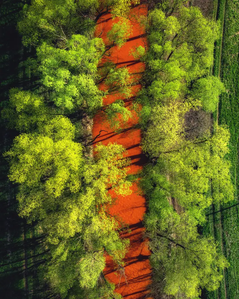 Gerec, Pali: ...Perverted Beauty ...