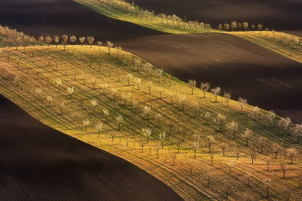 Morávek, Martin: Moravian Tuscany Waves #2