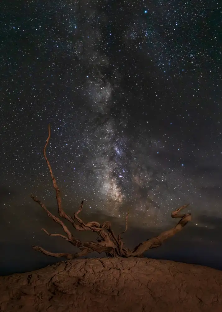 Wu, Irene: Noche del desierto de Gobi