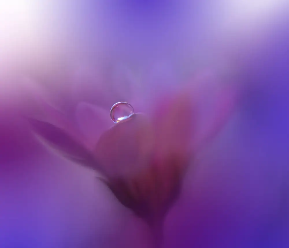 Nan, Juliana: Colors of Love...III