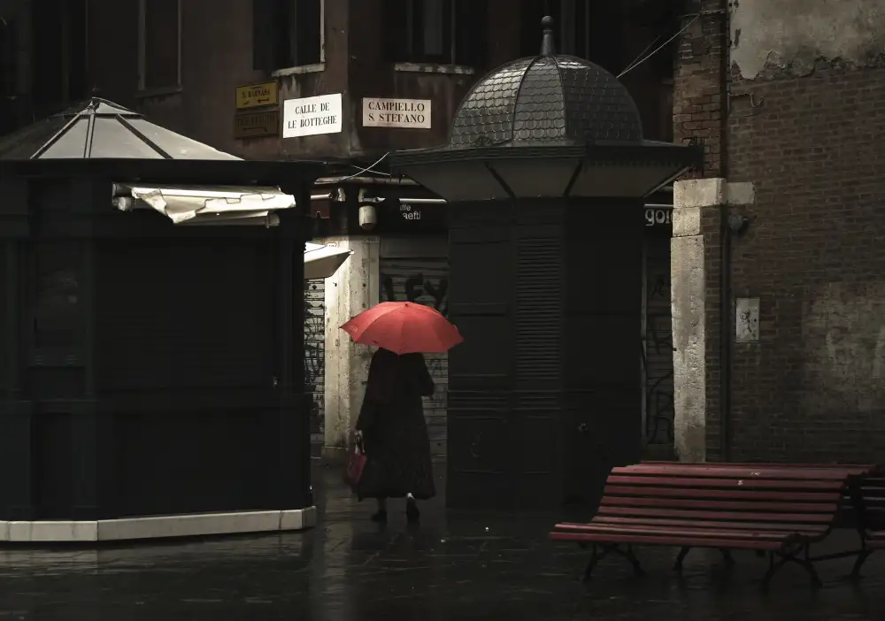 Grønkjær, Lotte: Rainy evening in Venice