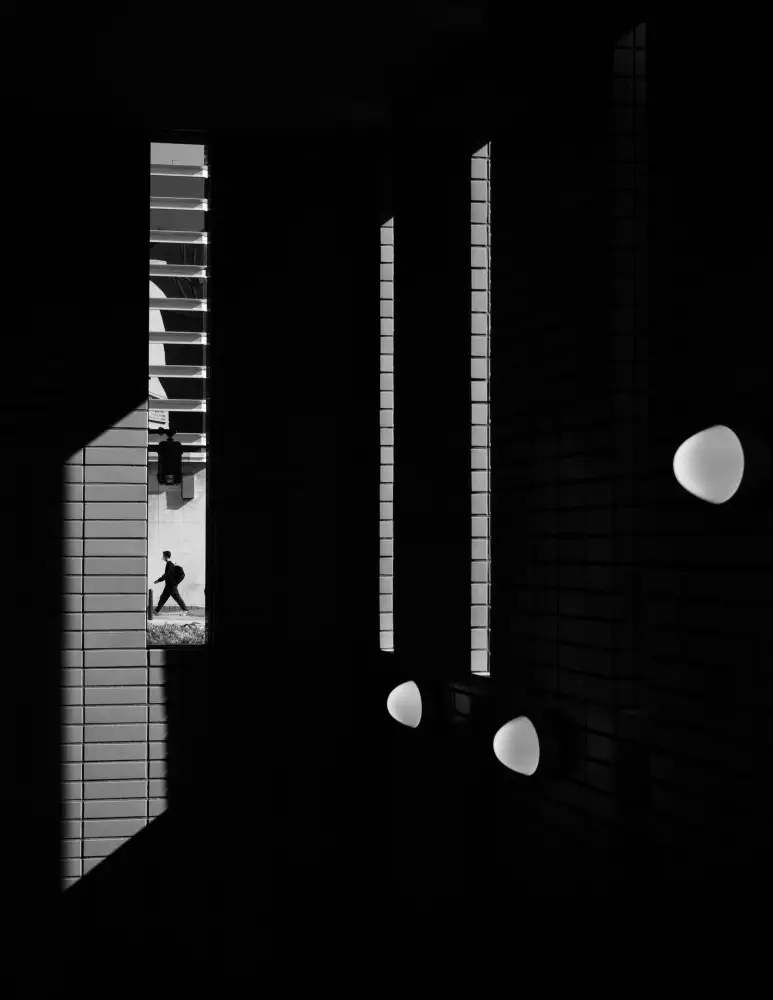 Hata, Satoshi: geometric