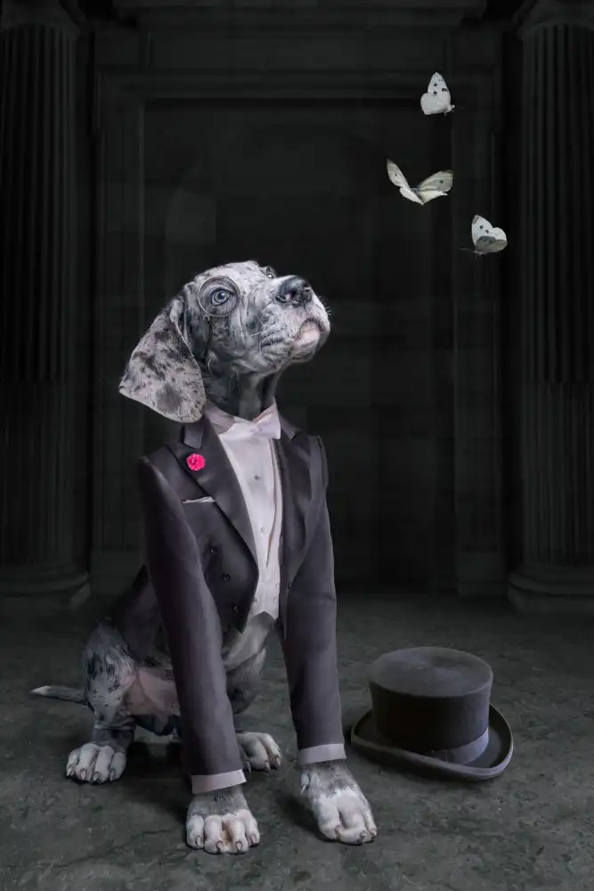 Egger, Marcel: LordDog