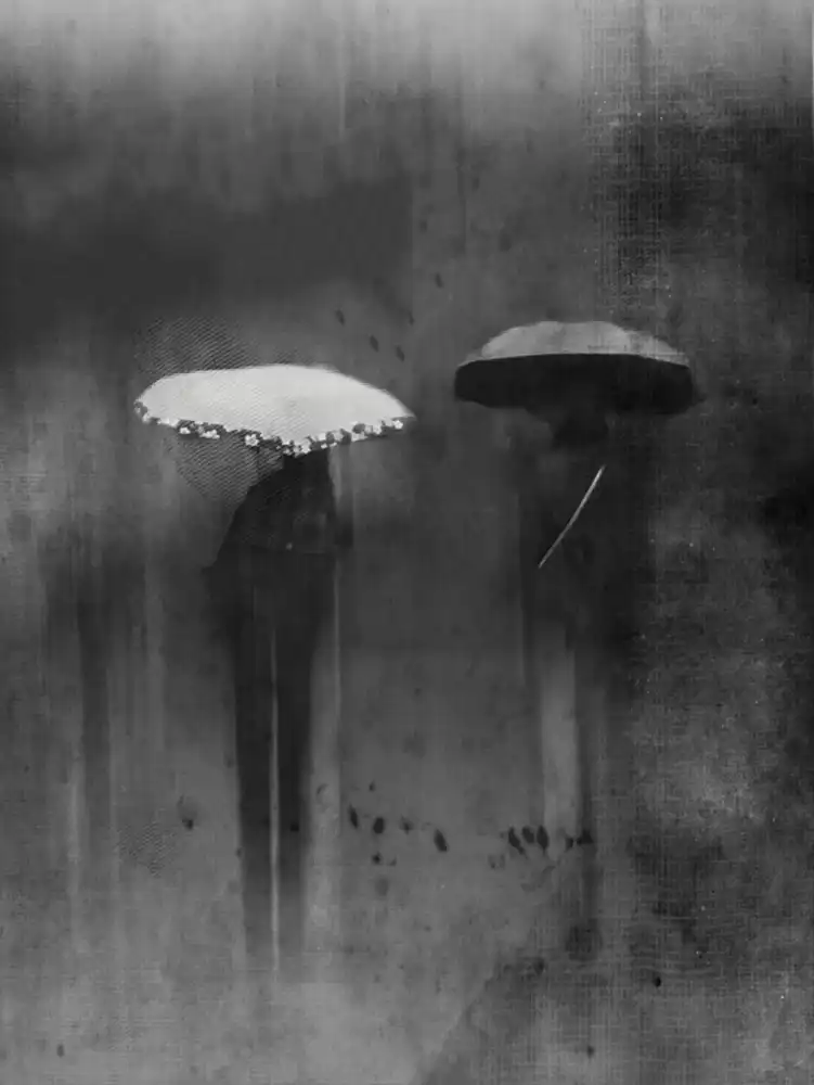 Lammakmak: blurry figure