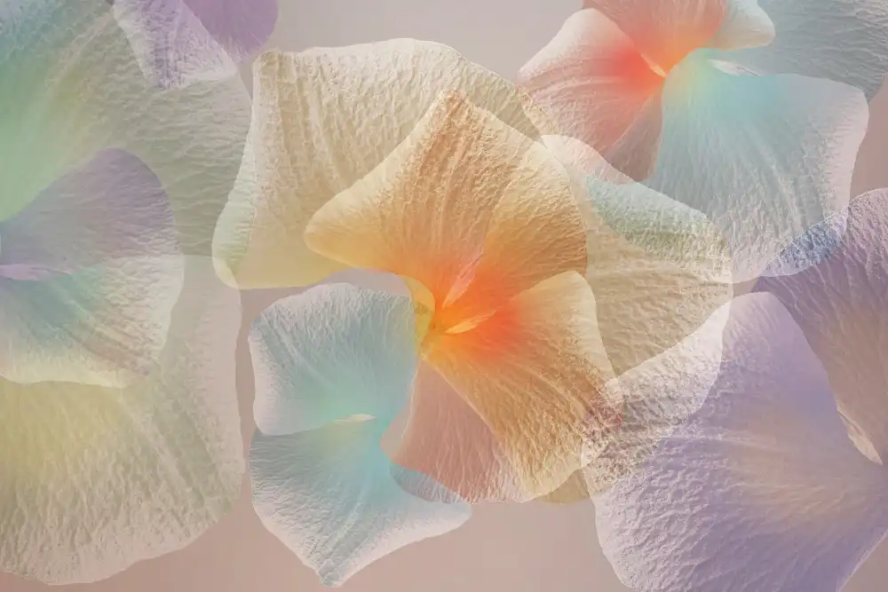Shumilova, Ludmila: Pastel floral