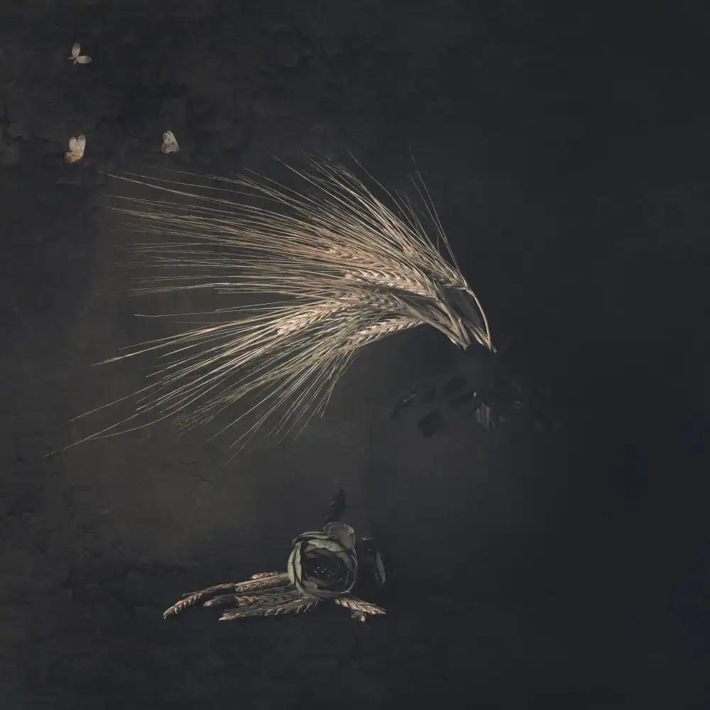 Kiral, Cicek: Remains of Light