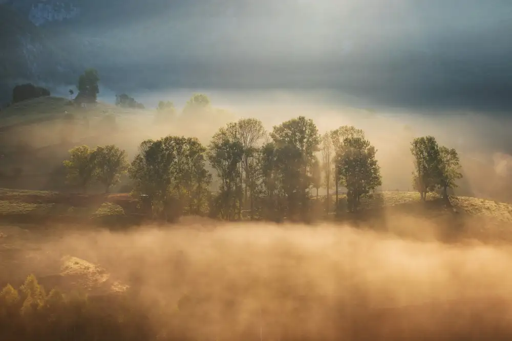 Coman, Ionut Alexandru: Sunrise veil