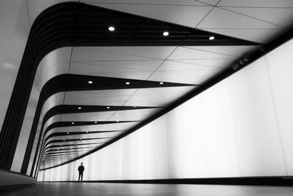 Coelho, Fernando: Crossing