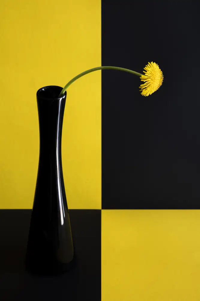 Hrabinsky, Peter: Still life with dandelion