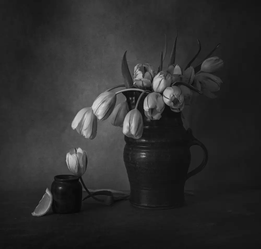 May, G.: Dunkles Leuchten