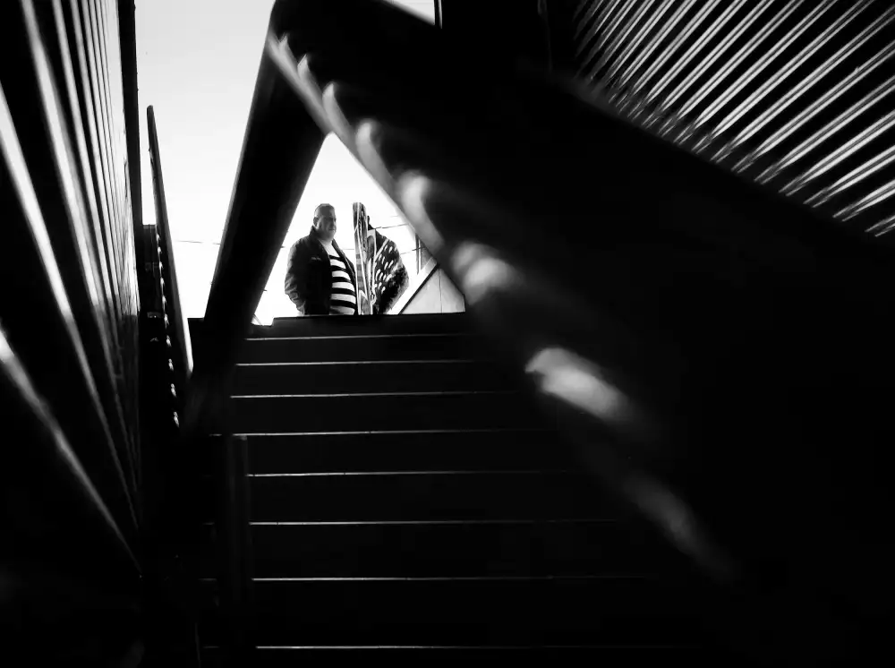 Momanu, Mirela: Hry Stripes