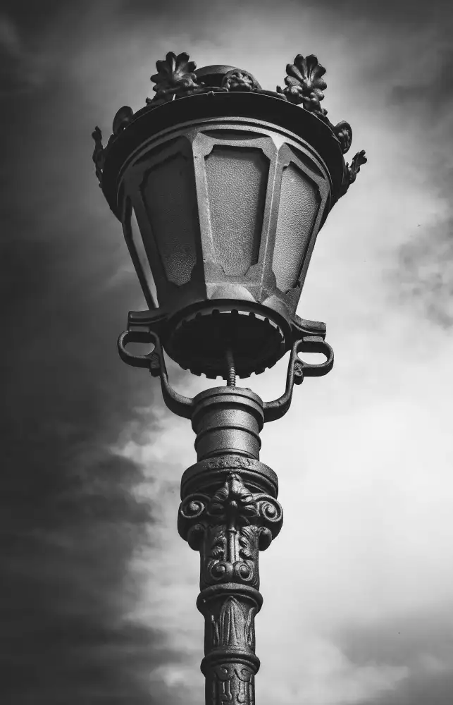 Trosic, Dragan: Portrait of lampshade