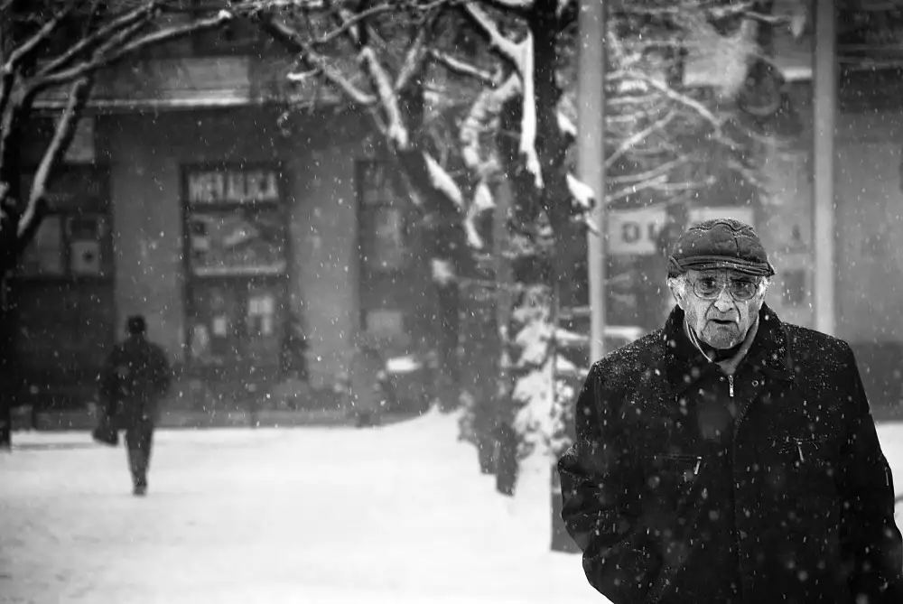 Gabor, Nicoleta: winter passengers