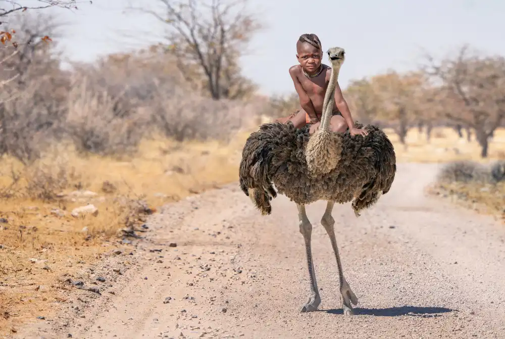 Egger, Marcel: HimbaRide