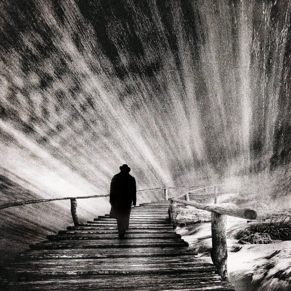 Novichikhin, Evgenii: Going