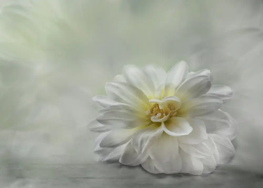 Helden, van Elisabeth: Be Kind