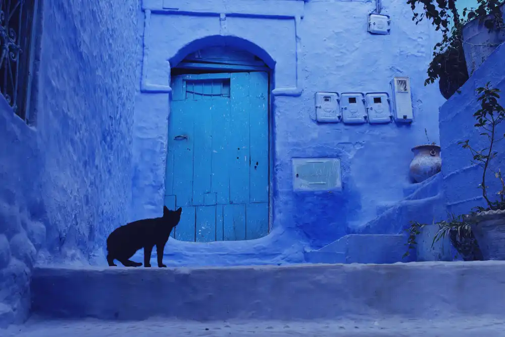 Buliga, Gina: Morocco - the silent of the earth