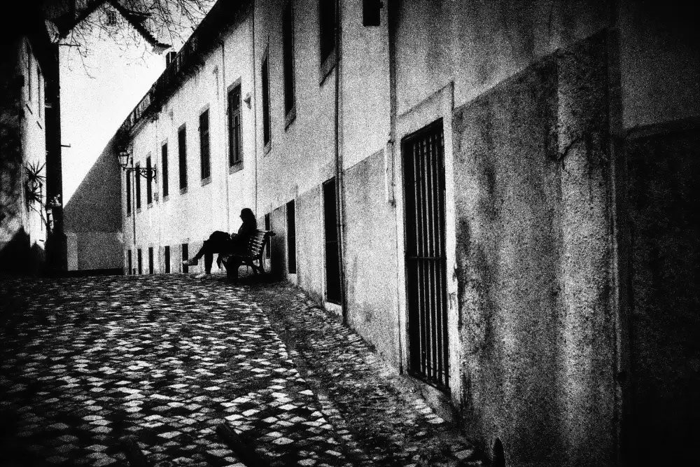 Abrantes, Paulo: Merle