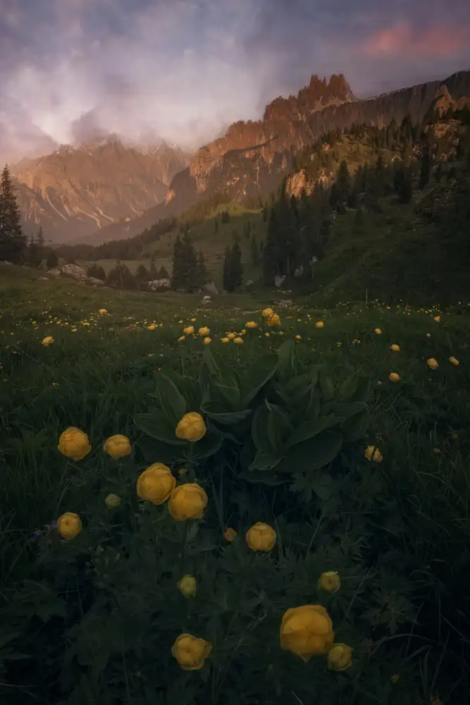 Castan, Martin David: Dolomiti