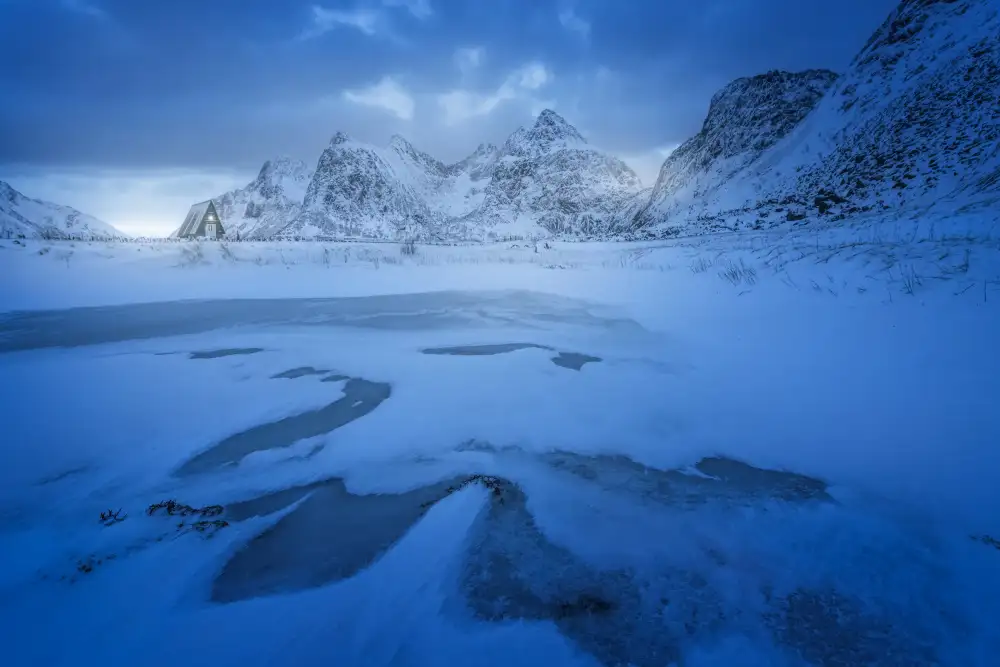 Castan, Martin David: Arctic