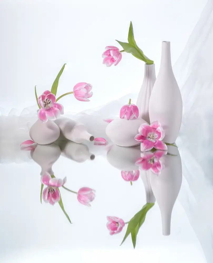 Sheng, Alice: nature morte 42
