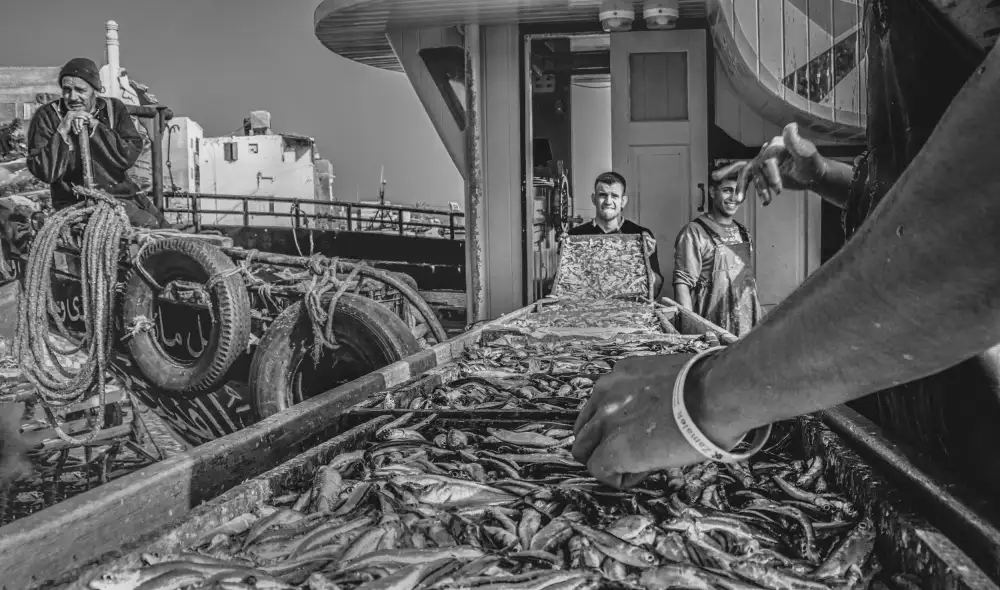 Ragab, Hesham: The Fishermen
