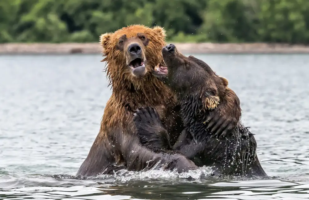 DAmico, Giuseppe: Hug
