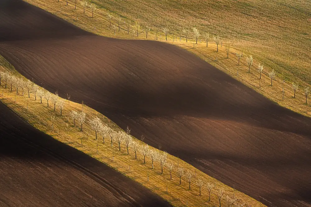 Morávek, Martin: Moravian Tuscany Waves #6