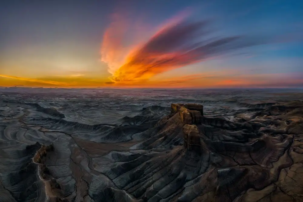 Fan, John: Fénix del desierto