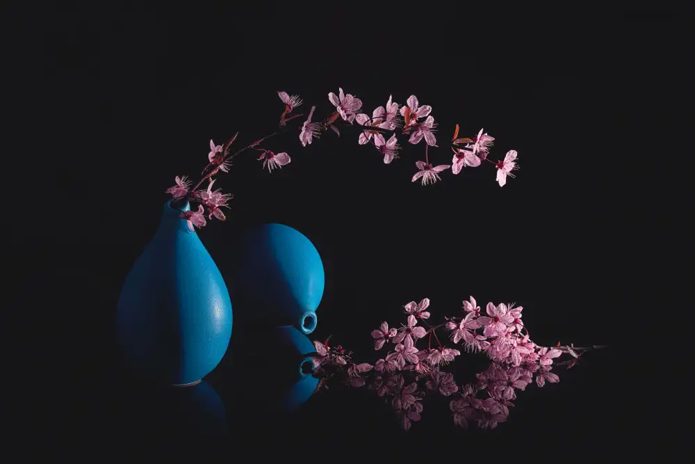 Jacobs, Lydia: Prunus in fiore