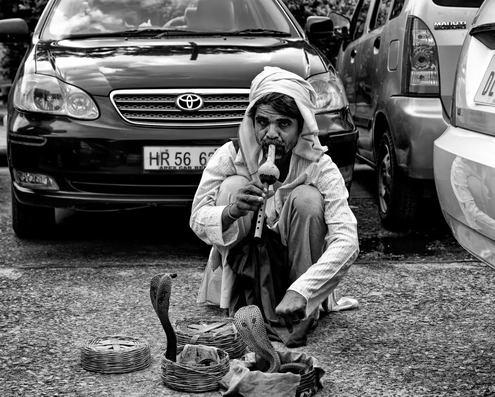 Hoey, John: Sidewalk Snake-Charmer