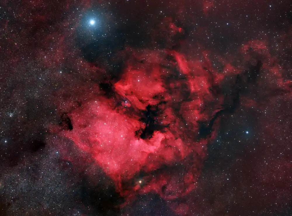 Chander, Vikas: North American Nebula