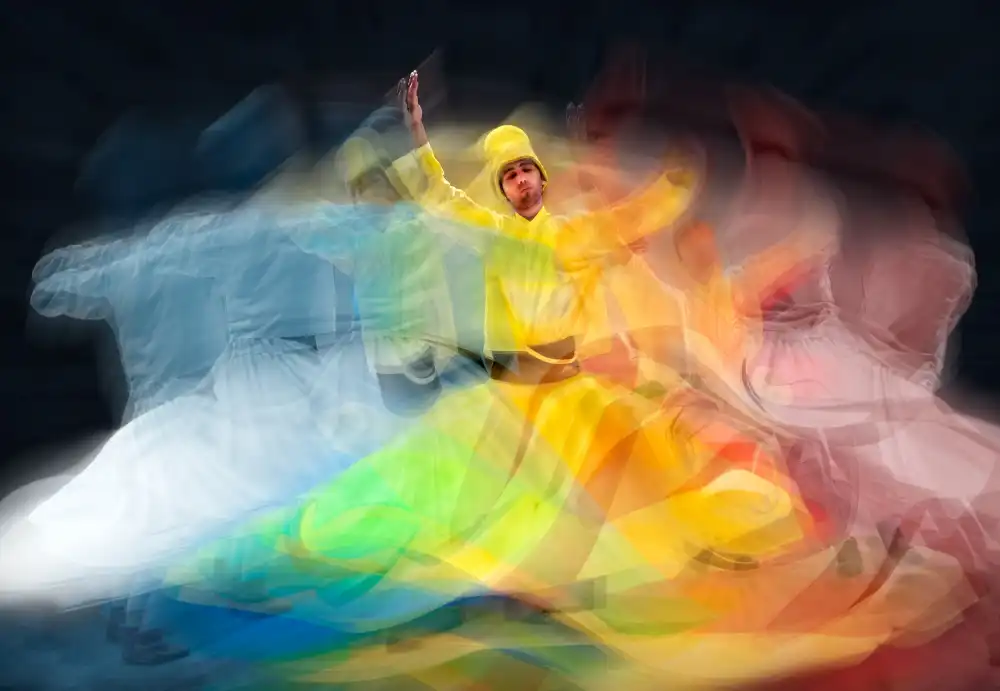 Reza, Nayyer Sayyed: Whirling Dervishes