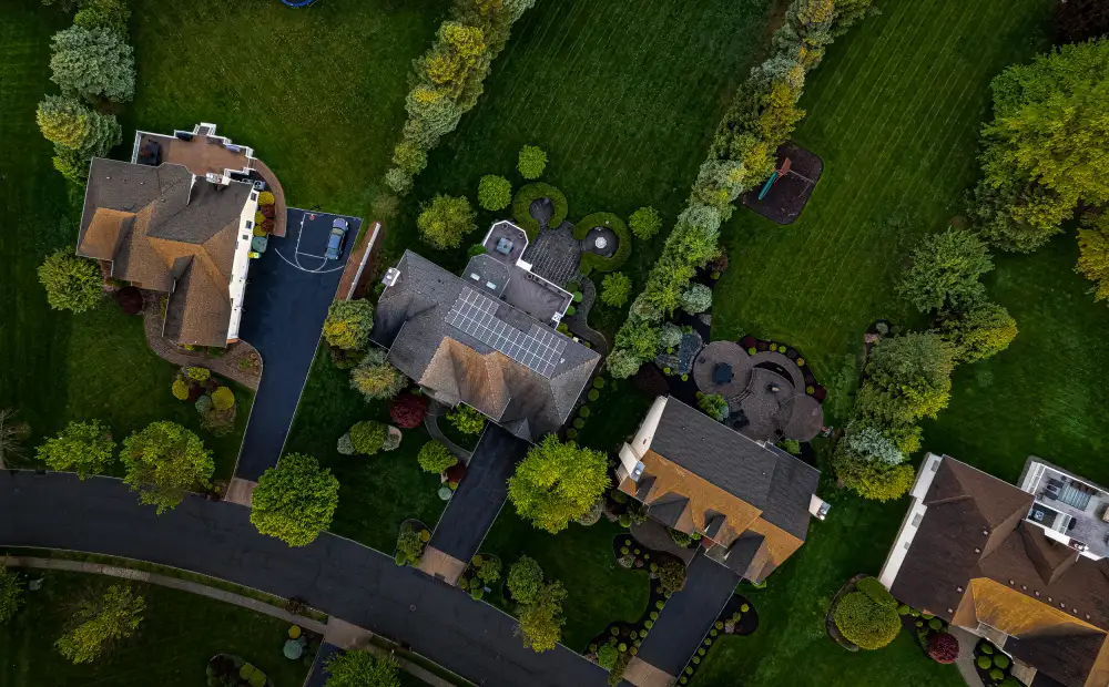 Zeng, Kenneth: Quartiere di Birds Eye