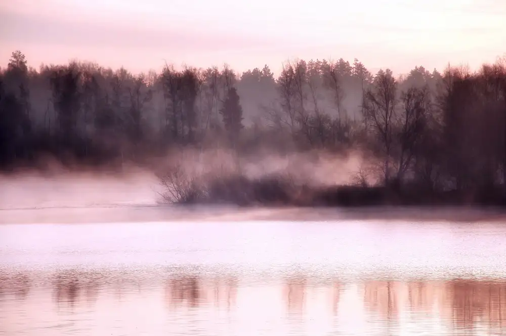 Heg, Zina: Silenzio