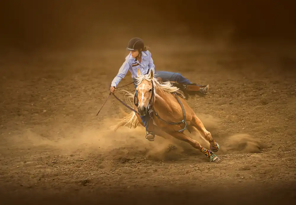 little7: Rodeo 2022 #4